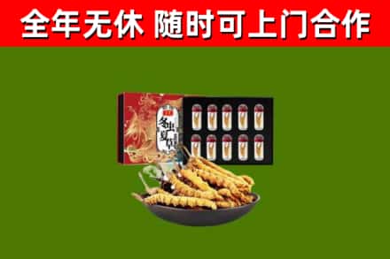 宁都回收冬虫夏草价格